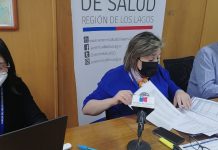 Seremi de Salud de Los Lagos actualizó la situación de la variante Delta en la zona