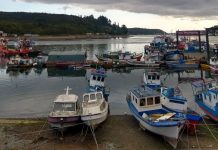 Caleta de Anahuac cuenta con paneles solares que redujeron consumo energético en un 50%