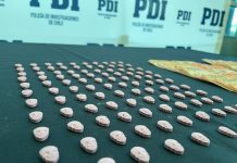 PDI de Puerto Montt incautó encomienda con éxtasis proveniente de Holanda