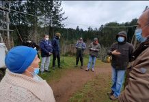 Cores y Municipio de Puerto Varas buscarán solución eléctrica para familias de Isla El Encanto