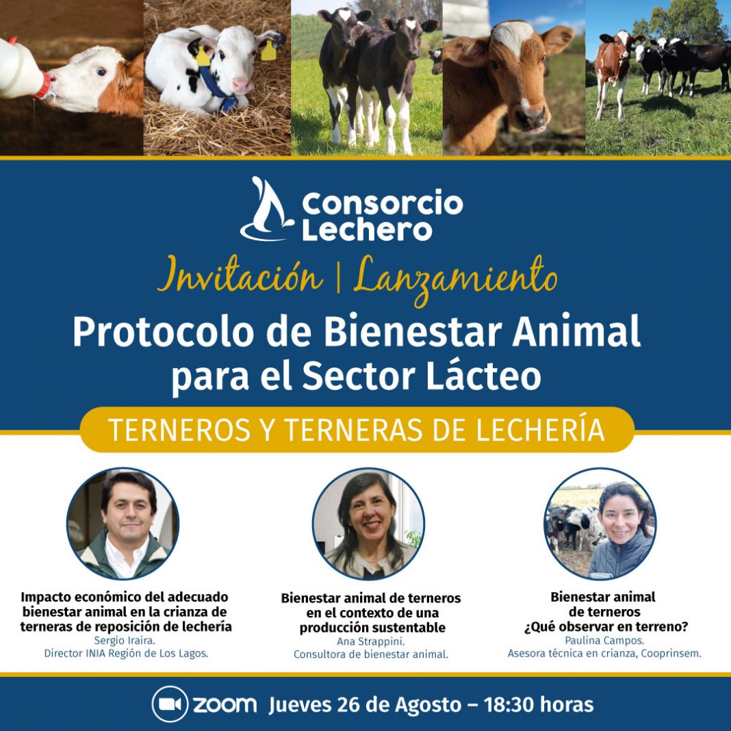 postface_invitacion-vb4