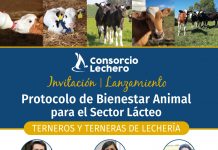 Protocolo de Bienestar Animal para el Sector Lácteo del Consorcio Lechero.