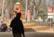 PDI indaga presunta negligencia de Safari en Rancagua por muerte de trabajadora