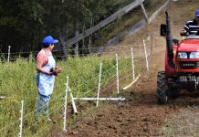 Más de 2 mil 800 postulaciones para fondos concursables recibió San Juan de La Costa