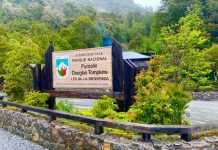 Llaman a no dejar huellas a visitantes de parques y reservas naturales de la región