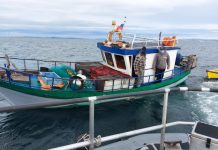 Sernapesca detecta más de 9 toneladas de recursos ilegales tras fiscalizaciones en distintos puntos de la región de Los Lagos