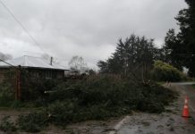 Saesa confirma trabajos para recuperar el suministro eléctrico en las provincias afectadas