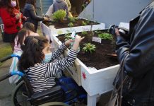 Liceo de Osorno crea innovador proyecto: Potencia la convivencia en base a un huerto terapéutico