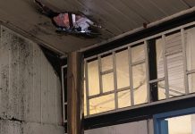 Daños menores causó amago de incendio en Escuela Deportiva de Ovejería