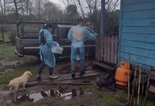 Servicio de Hospitalización Domiciliaria en Osorno culminaría el 30 de septiembre