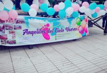 Desde Agrupación Angelitos del Cielo Osorno valoraron promulgación de Ley Dominga