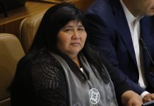 Diputada Nuyado denuncia falta de recursos a pequeños agricultores pese a escasez hídrica