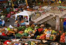 Ferias de la comuna de Osorno funcionarán normalmente durante Fiestas Patrias