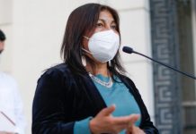 Elisa Loncon por situación de Rodrigo Rojas: “La Convención va a actuar de la manera más justa”