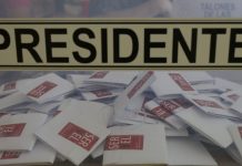 Más de 15 millones de electores están habilitados para la elección de noviembre