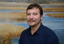 Investigador de recursos hídricos apuesta por recuperar bosque nativo para enfrentar la escasez del agua