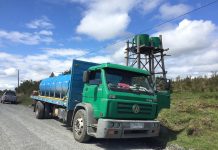 Investigador apuesta por recuperar el bosque nativo para enfrentar la escasez hídrica en la Macrozona Sur