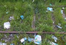 Denuncian falta de limpieza y mantención en terrenos de EFE en Purranque