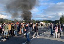 Candidatos presidenciales y autoridades de la zona reaccionan ante toma de fundos en Máfil