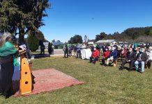 Inauguran planta de insumos agrícolas en base a algas marinas en Puerto Montt