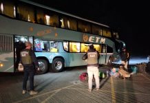 Carabineros de Calbuco incauta clorhidrato de cocaína a pasajero de un bus