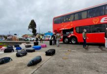 Un detenido y la incautación de marihuana deja nueva fiscalización de Carabineros en Pargua