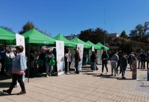 Apostando por el retorno a la presencialidad UST realizó feria vocacional en Osorno