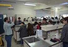 Cupo Explora-UNESCO: sigue postulación de admisión especial a la universidad para jóvenes con trayectorias científicas escolares