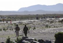 Diario Oficial publicó decreto que declara el estado de emergencia en la Macrozona Norte