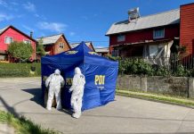Investigan homicidio de hombre en Panguipulli: Autor del delito estaría confeso