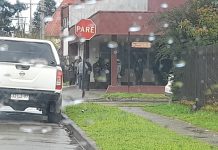 Cinco carabineros heridos con perdigones tras toma de fundo en Máfil