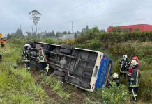 Minibús volcó en Ruta 5 entre Puerto Montt y Puerto Varas: una mujer quedó lesionada