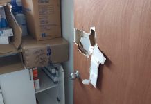 Centro de Esterilización Canina de Puerto Montt reduce horas de cirugías tras sufrir robo