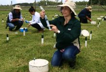 INIA: Estrategia de I+D+i para el periodo 2020-2030