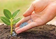 Transgénicos y sus mitos, el marco legal y sus vacíos, abordado por Director Ejecutivo de CHILEBIO.