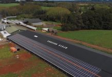 Innovadora planta fotovoltaica potencia el uso de energías renovables en el agro.