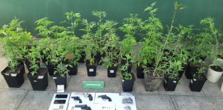 Uno de los dos detenidos por disparar a dos personas en Rahue Alto quedó en prisión preventiva