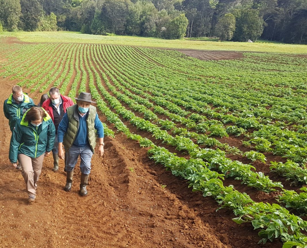 WhatsApp Image 2021-11-12 at 08.52.57