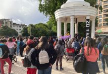 Con marcha del silencio se conmemoró en Osorno Día Internacional contra la Violencia hacia la Mujer