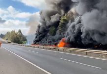 Camión de combustible se quemó por completo tras volcar en Ercilla