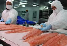 Consejo del Salmón de Chile destaca ingresos superiores a 2020, pese a baja en exportaciones