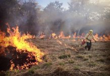 Incendio forestal amenaza sector alto de la comuna de Castro, brigadistas de CONAF trabajan en el control del fuego