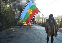 Dos comuneros mapuche murieron en Tirúa tras enfrentamiento con personal de Carabineros y la Armada