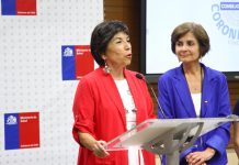 Piñera designa a María Teresa Valenzuela como nueva subsecretaria de Salud Pública
