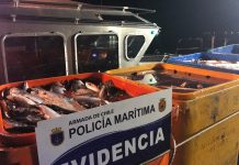 Policía marítima incauta cerca de 13 toneladas de salmón robado en Chiloé