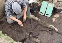Este jueves se desarrollará Seminario Nacional de Turismo Paleo arqueológico centrado en Pilauco