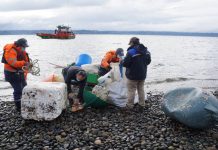Consejo del Salmón de Chile: Destaca limpieza de playas y políticas de sustentabilidad en la zona