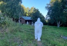 Investigan homicidio de hombre en La Unión: Hay un detenido como presunto autor