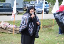 Diputada Emilia Nuyado fue intervenida quirúrgicamente tras presentar complicaciones en su estado de salud