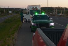 Sernapesca y Carabineros detectan transporte ilegal de 900 kilos de merluza del sur
